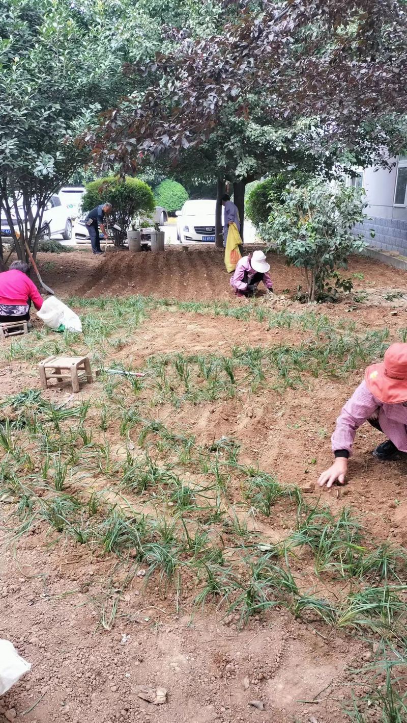 微(wēi)信圖片_20221115172926