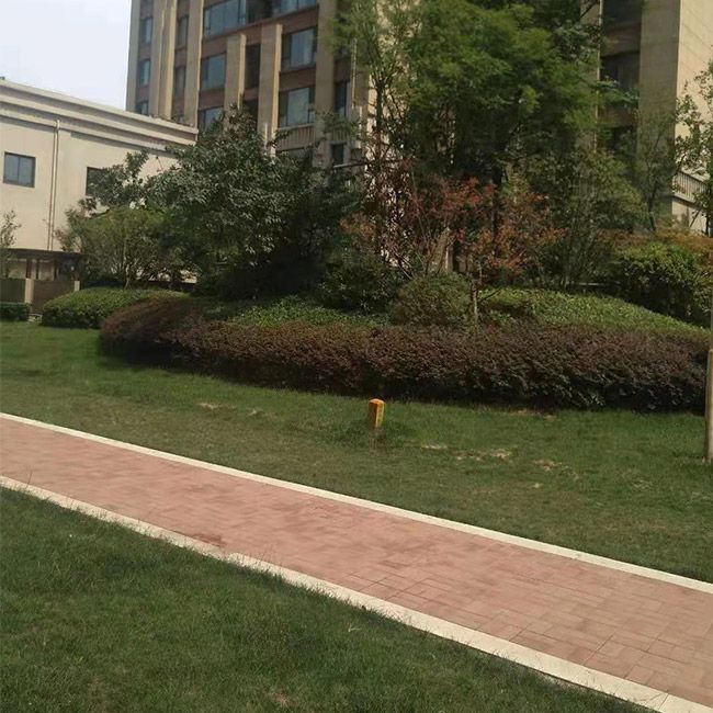 廠(chǎng)區(qū)綠(lǜ)化(huà)施工(gōng)設計(jì)及養護