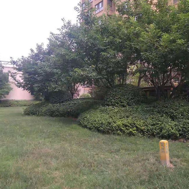 别墅綠(lǜ)化(huà)施工(gōng)設計(jì)及養護