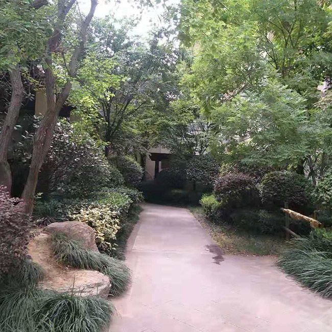 别墅綠(lǜ)化(huà)施工(gōng)設計(jì)及養護