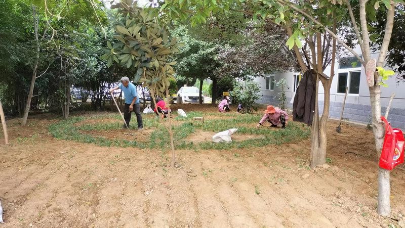 廠(chǎng)區(qū)草(cǎo)坪綠(lǜ)化(huà)展示