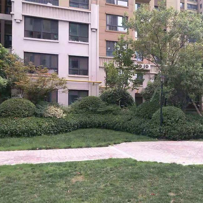 小(xiǎo)區(qū)綠(lǜ)化(huà)施工(gōng)設計(jì)及養護