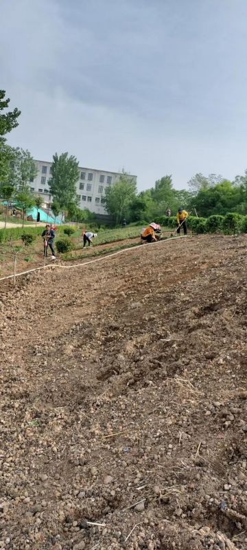 廠(chǎng)區(qū)綠(lǜ)化(huà)施工(gōng)設計(jì)及養護