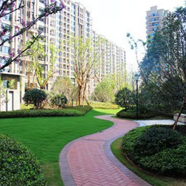 公園綠(lǜ)化(huà)施工(gōng)設計(jì)及養護