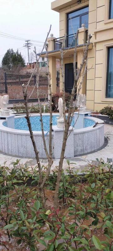 小(xiǎo)區(qū)别墅綠(lǜ)化(huà)